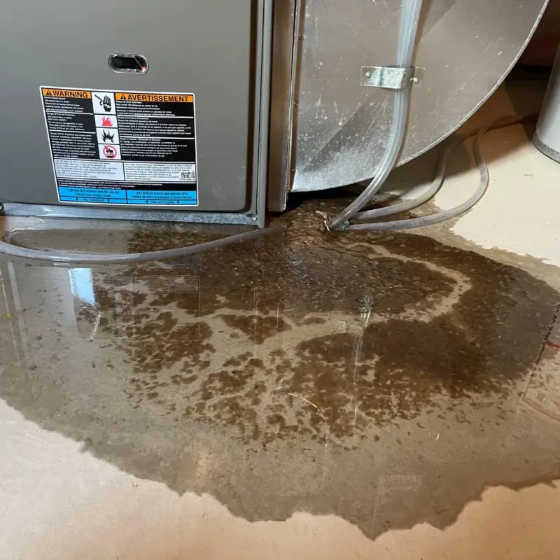 Appliance Leak Cleanup in Blackfoot, ID