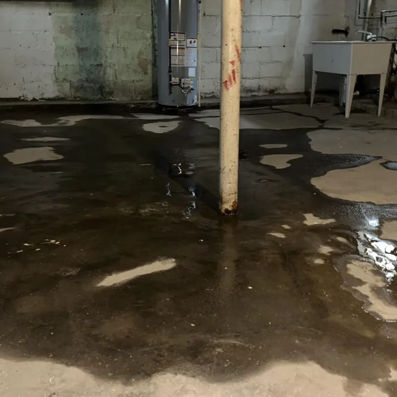 Emergency Water Extraction And Removal in Blackfoot, ID